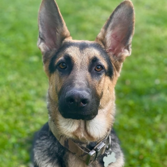 Meet your Posher, Maria - Picture 1 of 1